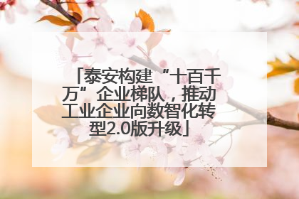 泰安构建“十百千万”企业梯队，推动工业企业向数智化转型2.0版升级