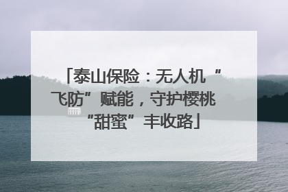 泰山保险：无人机“飞防”赋能，守护樱桃“甜蜜”丰收路