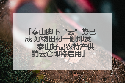 泰山脚下“云”势已成 好物出村一触即发——泰山好品农特产供销云仓即将启用