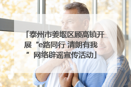 泰州市姜堰区顾高镇开展“e路同行 清朗有我”网络辟谣宣传活动