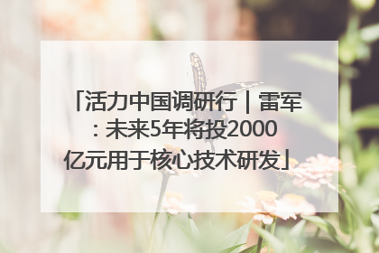 活力中国调研行｜雷军：未来5年将投2000亿元用于核心技术研发