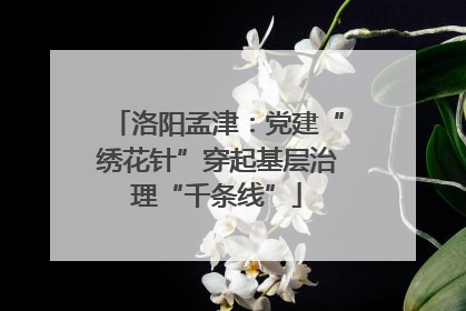 洛阳孟津：党建“绣花针”穿起基层治理“千条线”