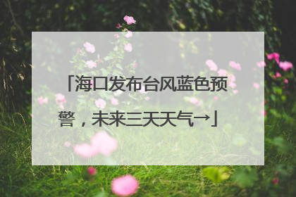 海口发布台风蓝色预警，未来三天天气→