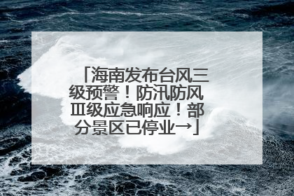 海南发布台风三级预警！防汛防风Ⅲ级应急响应！部分景区已停业→