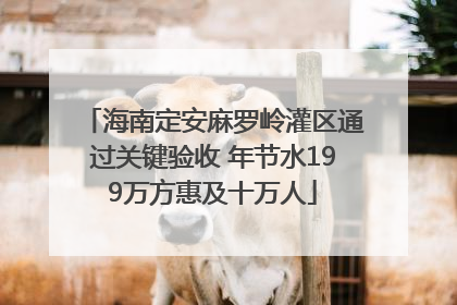 海南定安麻罗岭灌区通过关键验收 年节水199万方惠及十万人