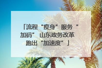 流程“瘦身”服务“加码” 山东政务改革跑出“加速度”