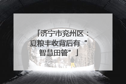 济宁市兖州区：夏粮丰收背后有“智慧田管”