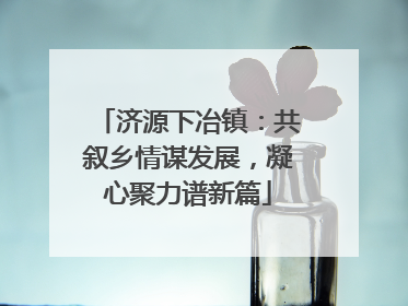 济源下冶镇：共叙乡情谋发展，凝心聚力谱新篇