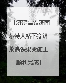 济滨高铁济南东特大桥下穿济莱高铁架梁施工顺利完成