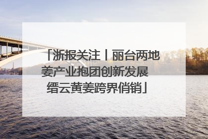 浙报关注丨丽台两地姜产业抱团创新发展 缙云黄姜跨界俏销