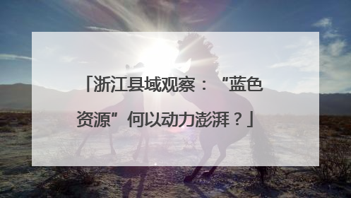 浙江县域观察：“蓝色资源”何以动力澎湃？