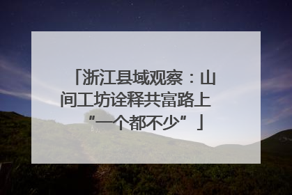 浙江县域观察：山间工坊诠释共富路上“一个都不少”