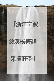 浙江宁波慈溪杨梅迎采摘旺季