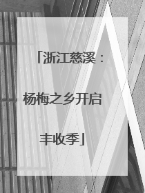 浙江慈溪：杨梅之乡开启丰收季