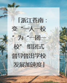 浙江苍南：变“一人一校”为“一团一校” 组团式督导督出学校发展加速度