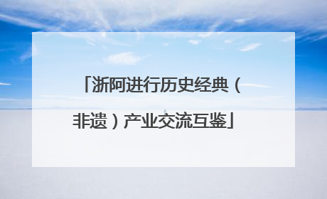 浙阿进行历史经典（非遗）产业交流互鉴