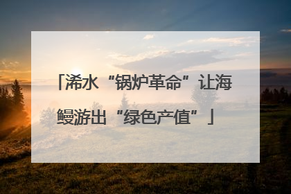 浠水“锅炉革命”让海鳗游出“绿色产值”