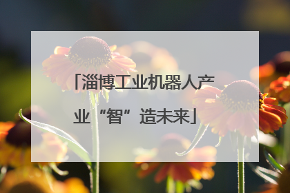 淄博工业机器人产业“智”造未来
