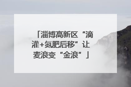 淄博高新区“滴灌+氮肥后移”让麦浪变“金浪”