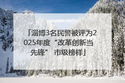 淄博3名民警被评为2025年度“改革创新当先锋” 市级榜样