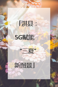 淇县：5G赋能“三夏”新图景
