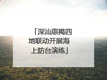 深汕惠揭四地联动开展海上防台演练
