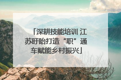 深耕技能培训 江苏盱眙打造“职”通车赋能乡村振兴