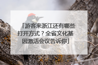 游客来浙江还有哪些打开方式？全省文化基因激活会议告诉你