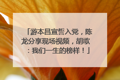 游本昌宣誓入党，陈龙分享现场视频，胡歌：我们一生的榜样！
