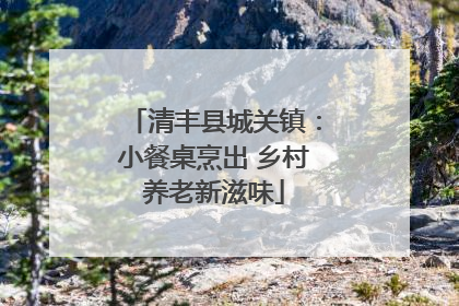 清丰县城关镇：小餐桌烹出 乡村养老新滋味
