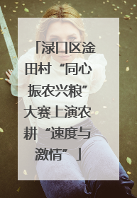 渌口区淦田村“同心振农兴粮”大赛上演农耕“速度与激情”