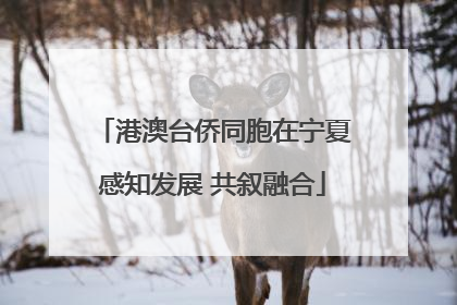 港澳台侨同胞在宁夏感知发展 共叙融合