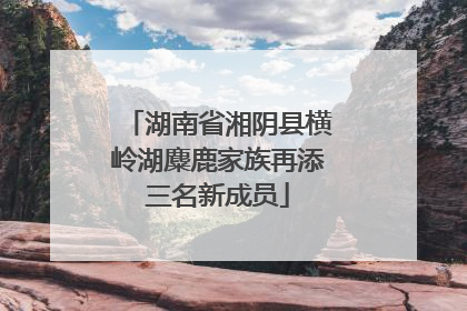 湖南省湘阴县横岭湖麋鹿家族再添三名新成员