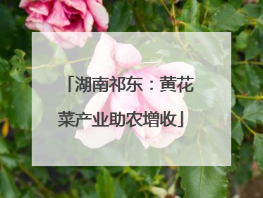 湖南祁东：黄花菜产业助农增收