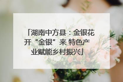 湖南中方县：金银花开“金银”来 特色产业赋能乡村振兴