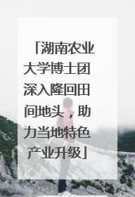 湖南农业大学博士团深入隆回田间地头，助力当地特色产业升级