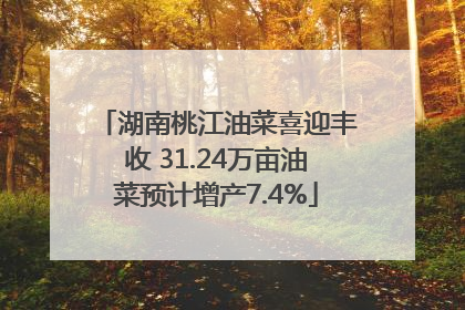 湖南桃江油菜喜迎丰收 31.24万亩油菜预计增产7.4%