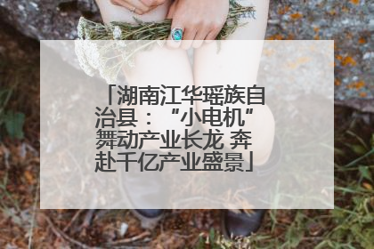 湖南江华瑶族自治县：“小电机”舞动产业长龙 奔赴千亿产业盛景
