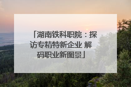 湖南铁科职院：探访专精特新企业 解码职业新图景