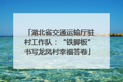 湖北省交通运输厅驻村工作队：“铁脚板”书写龙凤村幸福答卷