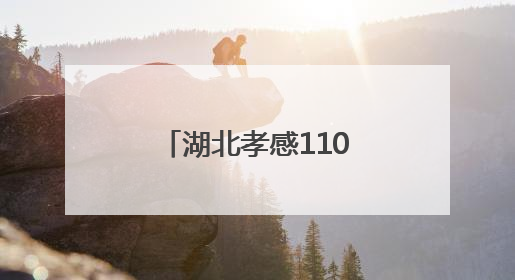 湖北孝感110，在变与不变中守护“万家安宁”