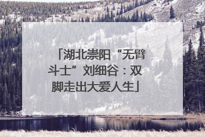 湖北崇阳“无臂斗士”刘细谷：双脚走出大爱人生