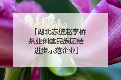 湖北赤壁赵李桥茶业创建民族团结进步示范企业