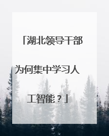 湖北领导干部为何集中学习人工智能？