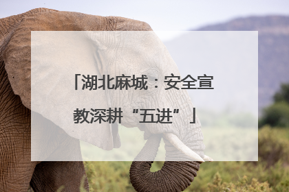 湖北麻城：安全宣教深耕“五进”