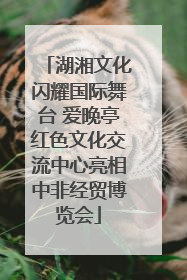 湖湘文化闪耀国际舞台 爱晚亭红色文化交流中心亮相中非经贸博览会