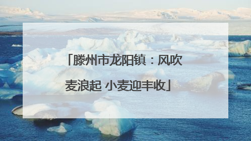 滕州市龙阳镇：风吹麦浪起 小麦迎丰收