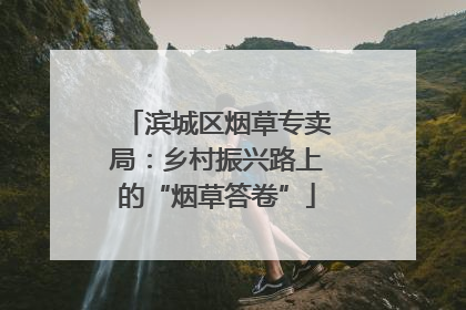 滨城区烟草专卖局：乡村振兴路上的“烟草答卷”