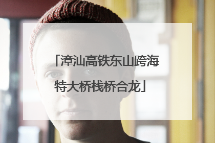 漳汕高铁东山跨海特大桥栈桥合龙