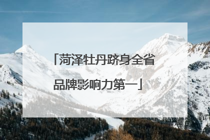 菏泽牡丹跻身全省品牌影响力第一
